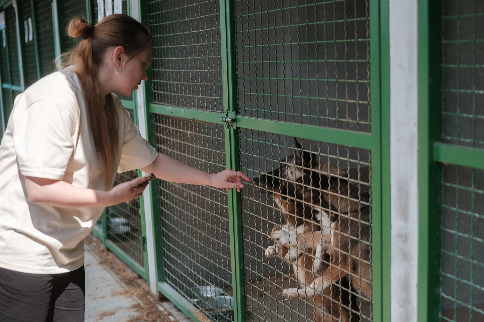 &quot;Дехто чекає на сім'ю з початку війни&quot;. Як столичні волонтери рятують тварин з прифронтових зон