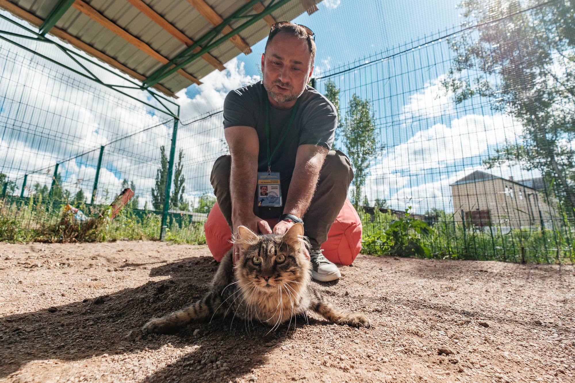 "Дехто чекає на сім'ю з початку війни". Як столичні волонтери рятують тварин з прифронтових зон