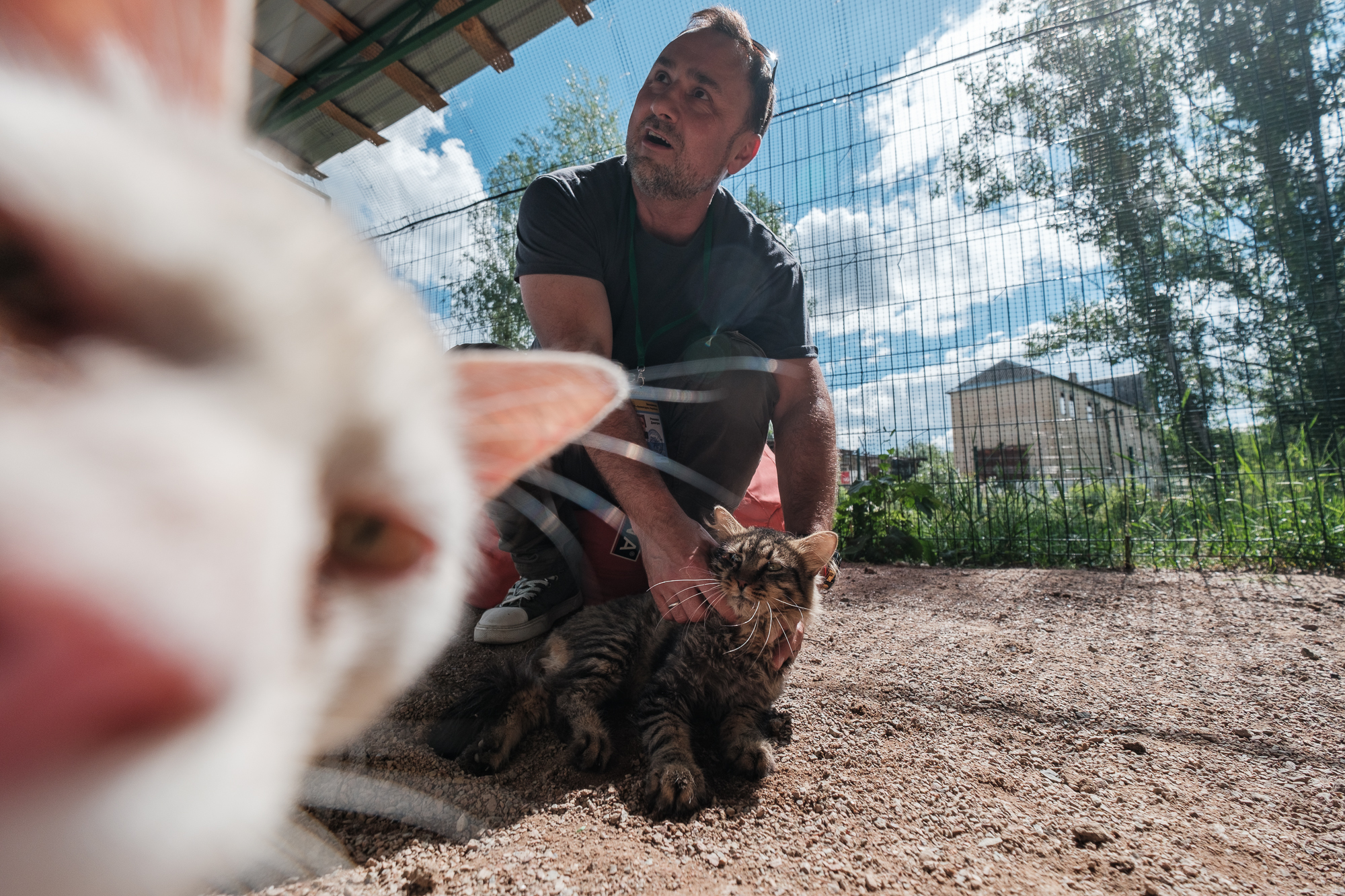 &quot;Дехто чекає на сім'ю з початку війни&quot;. Як столичні волонтери рятують тварин з прифронтових зон