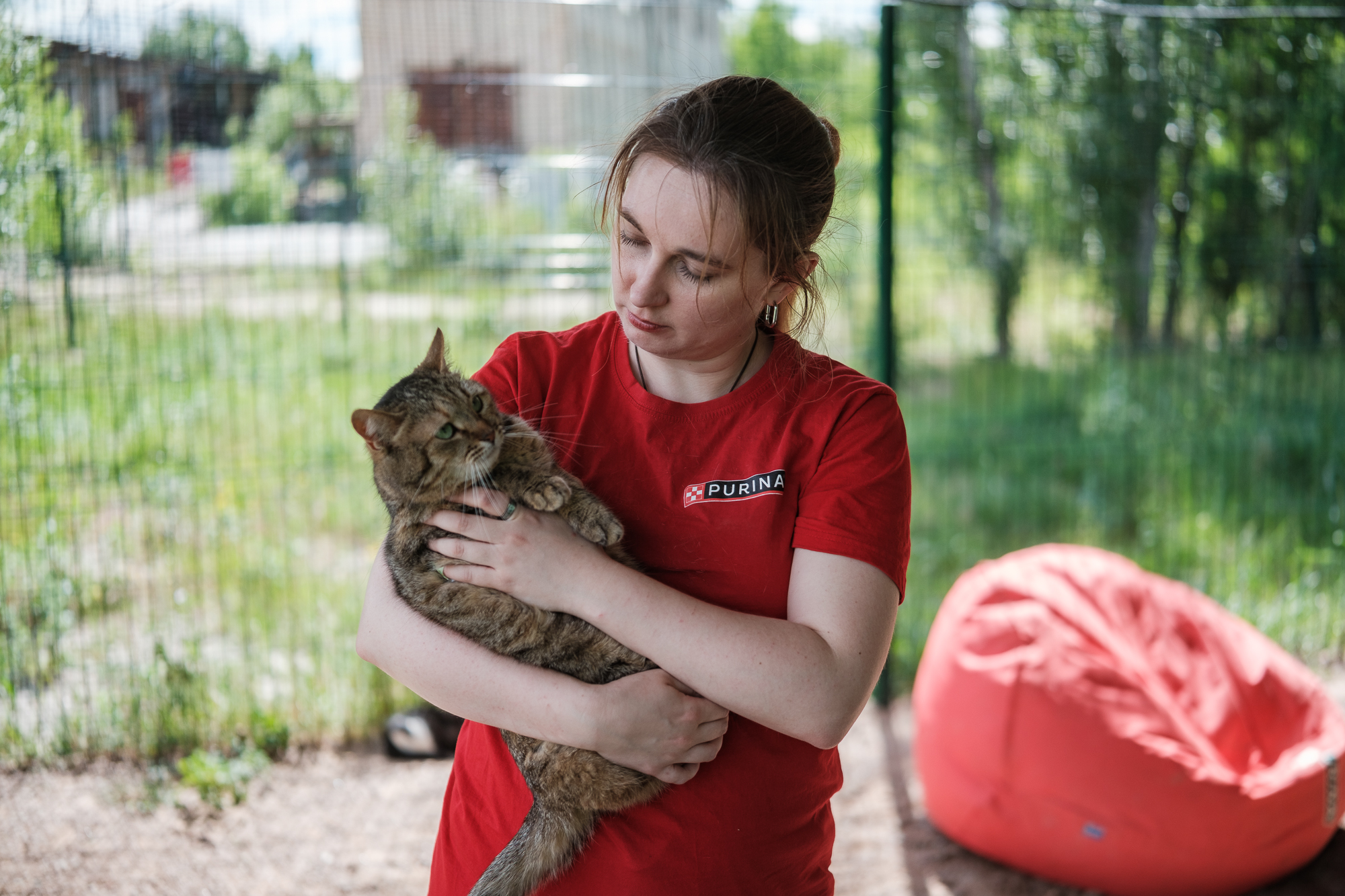 "Дехто чекає на сім'ю з початку війни". Як столичні волонтери рятують тварин з прифронтових зон
