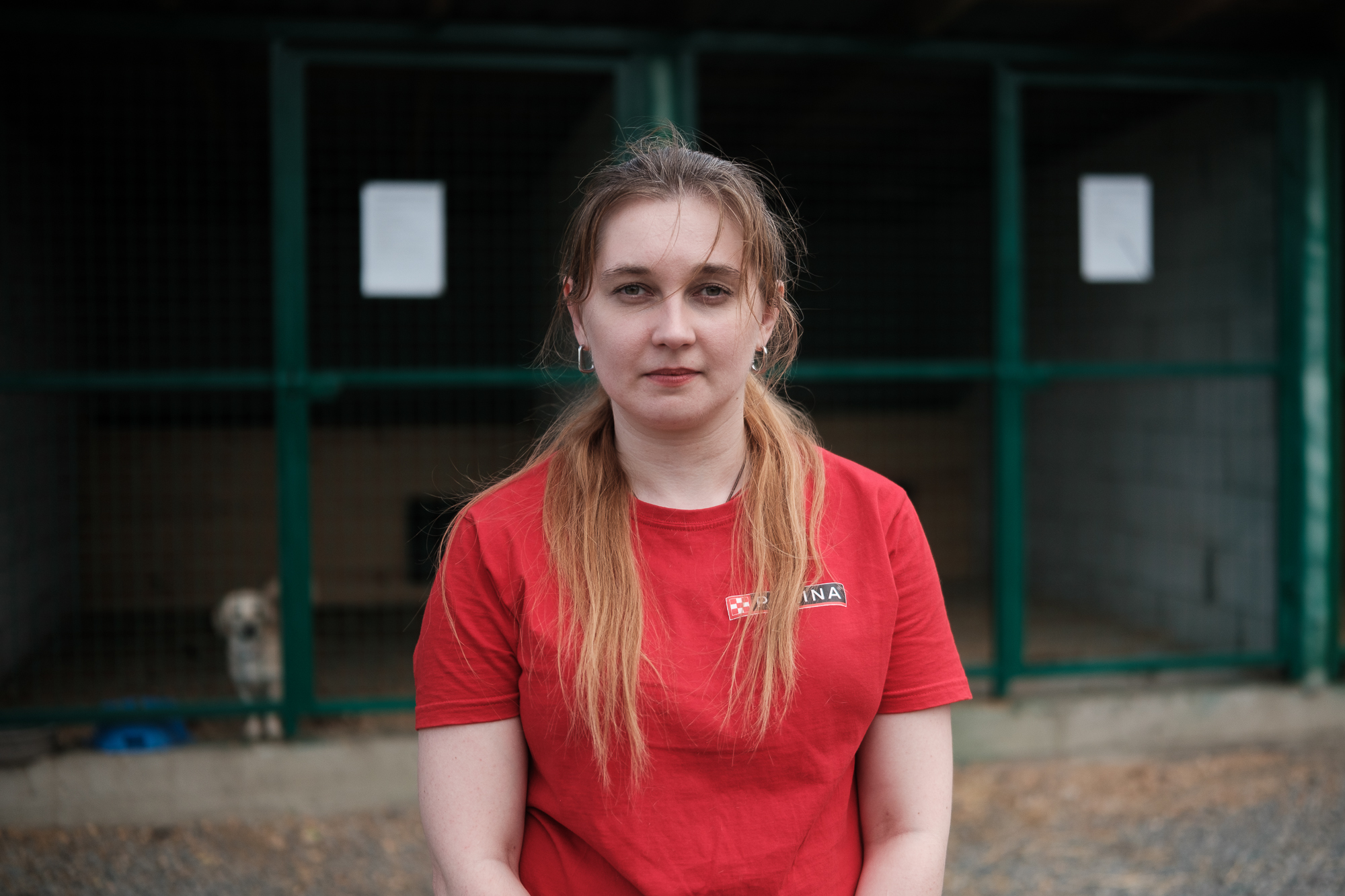 &quot;Дехто чекає на сім'ю з початку війни&quot;. Як столичні волонтери рятують тварин з прифронтових зон